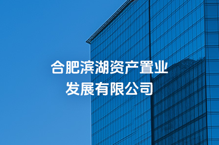 合肥yl6809永利资产置业生长有限公司