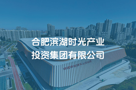 合肥yl6809永利时光工业投资集团有限公司