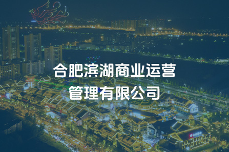 合肥yl6809永利商业运营治理有限公司