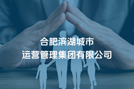 合肥yl6809永利都会运营治理集团有限公司