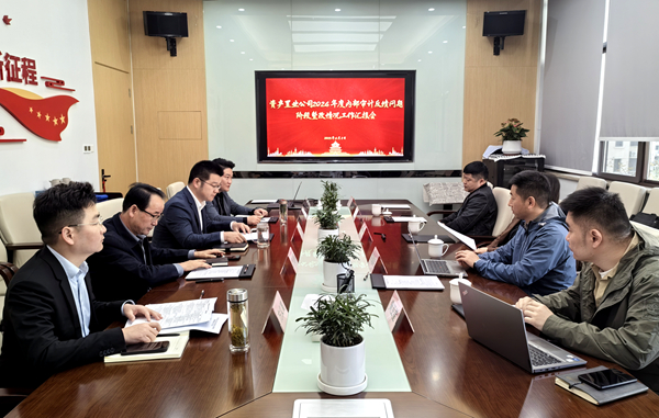 纪审联动压实整改责任，，，，，，精准施策激活增效动能